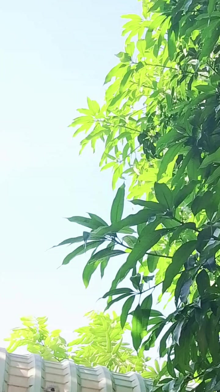 @tôi 🦋 yêu 🥞 🥺 tổng🍧 hè