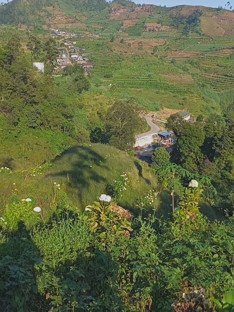 @jaka swara