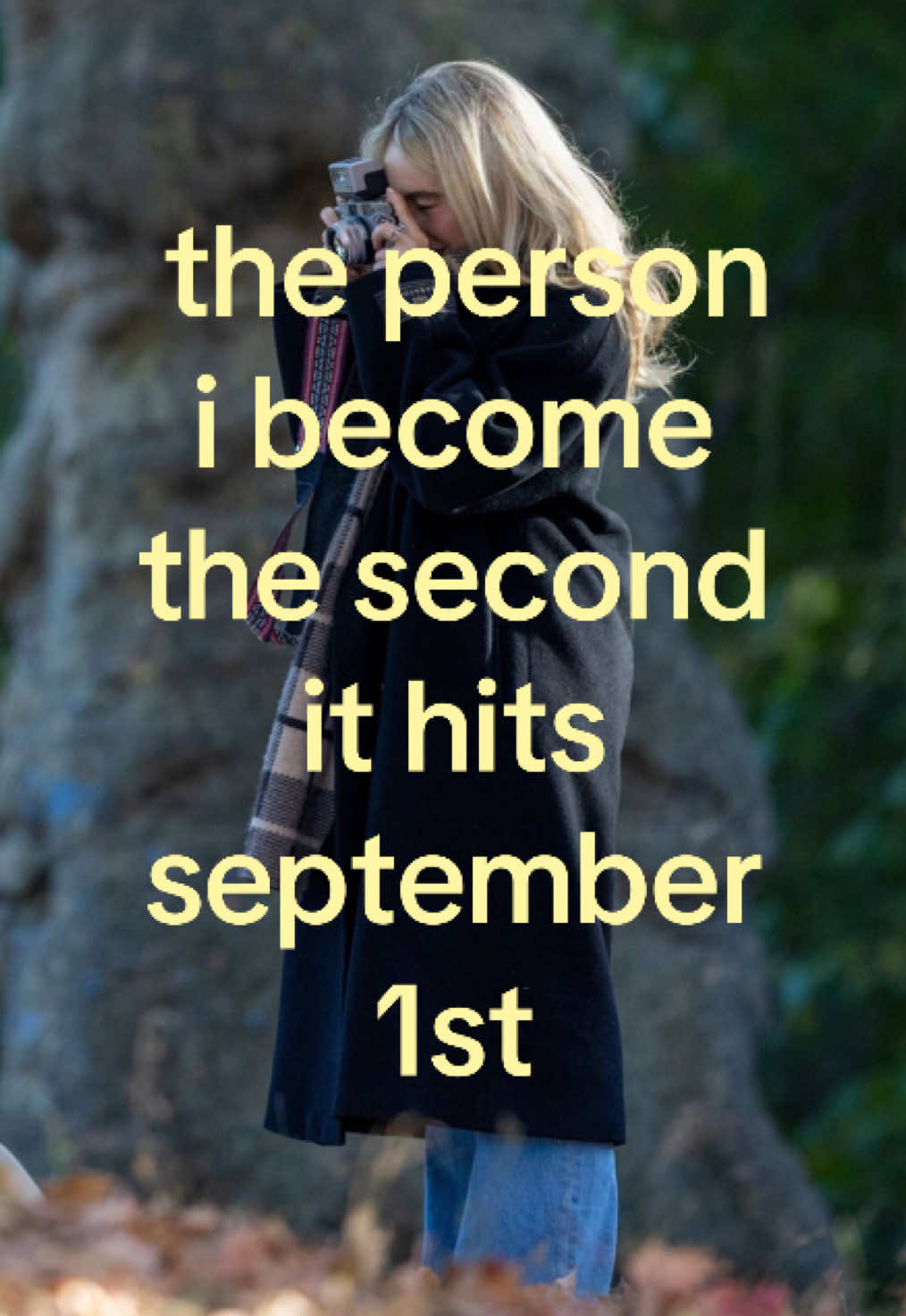 @✨✨