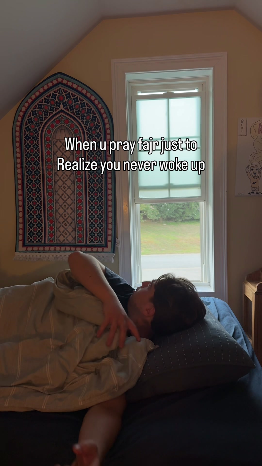@adoolie_