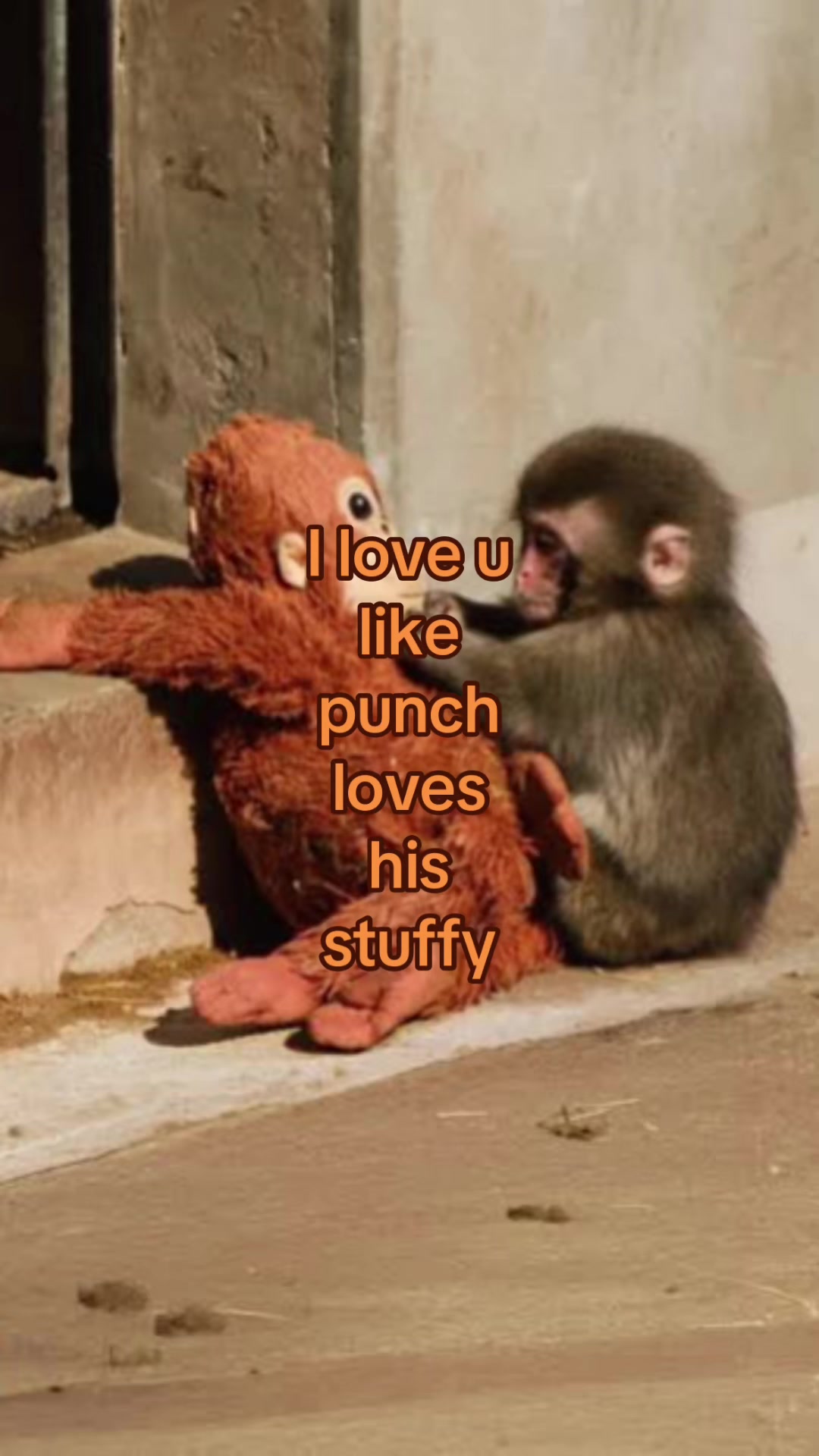 @๐๐๐๐๐ ๐งฟ