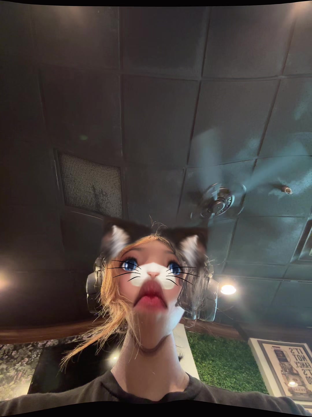@danichichi