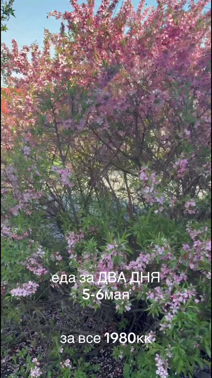 @лина