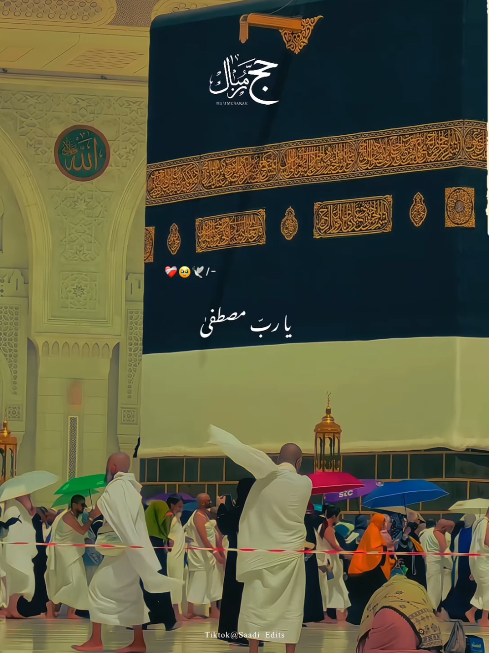 @â¨đđđđđ đđđđŠđ¨â¨