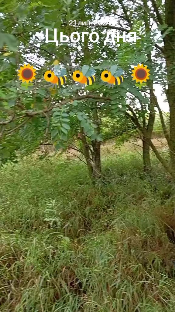@olegtruten