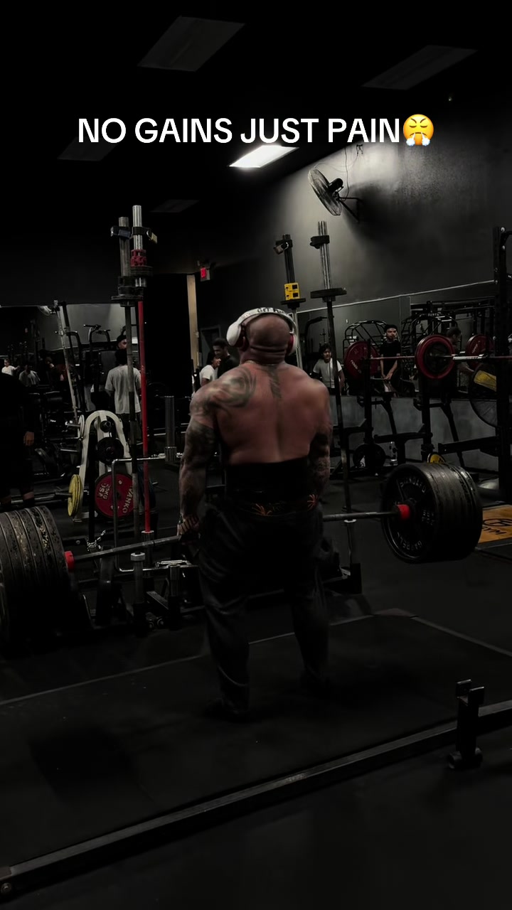 @TRENZILLA 🦍🇺🇸