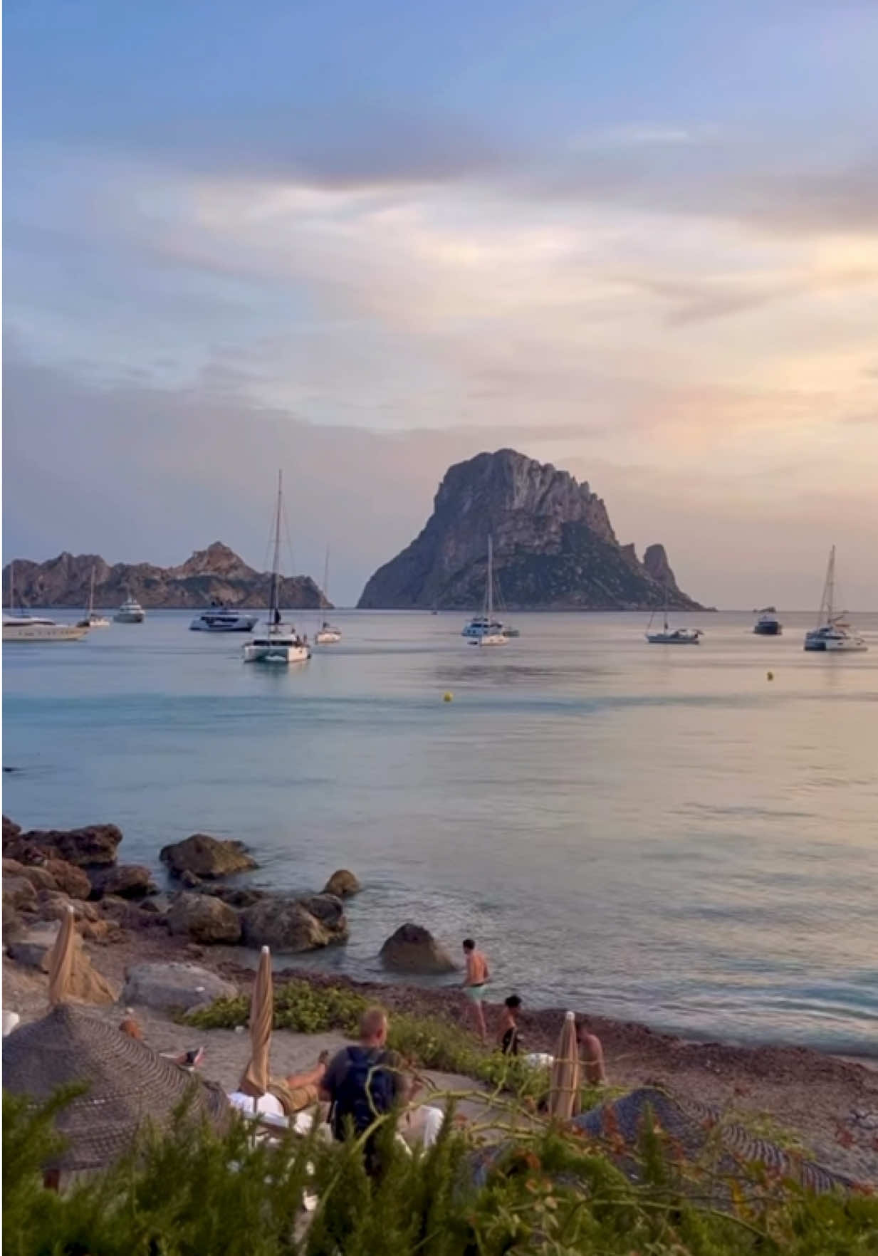 @ibizahq