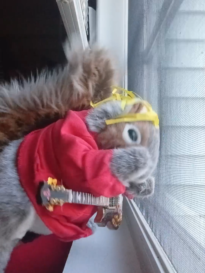 @Charles_TheSquirrel