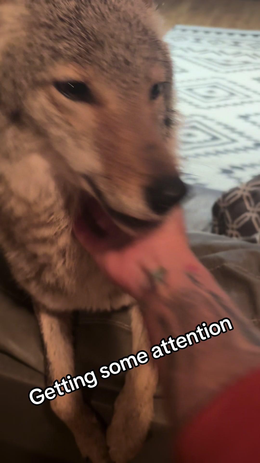 @ittybittyfarm1