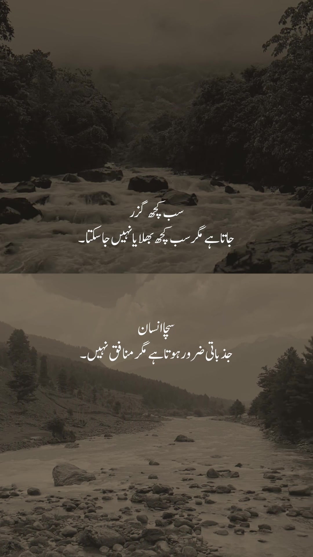 @𓆩شیراز𓆪