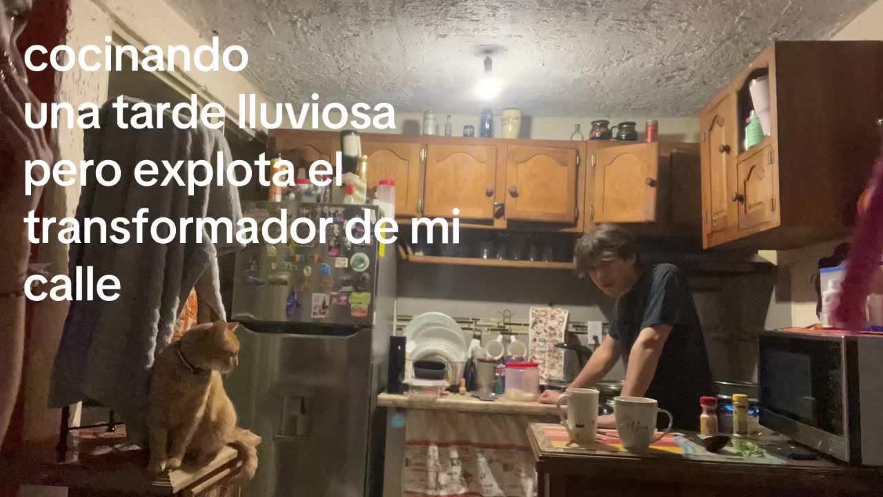 @vidabella