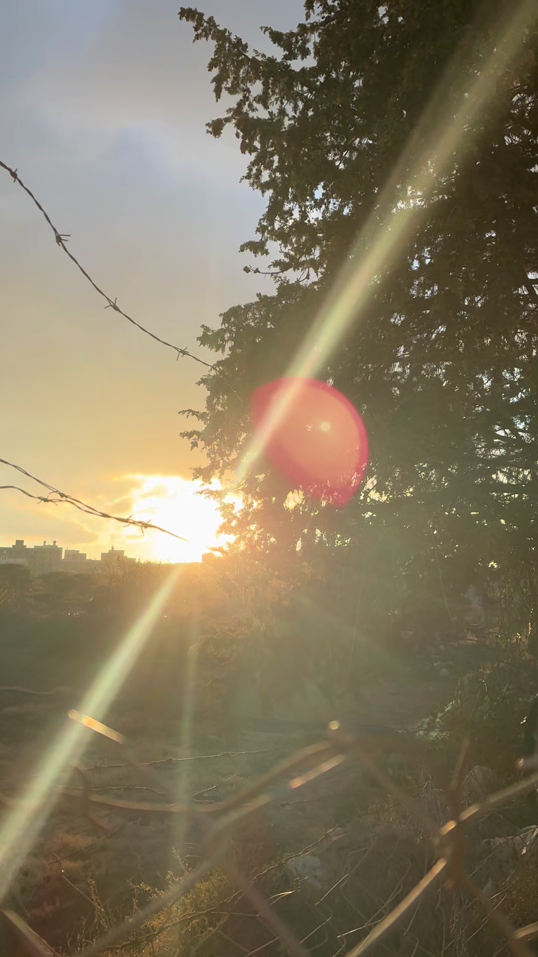 @شـــ☀️ــــد