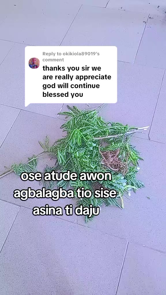 @oba ijinle ogbon agba