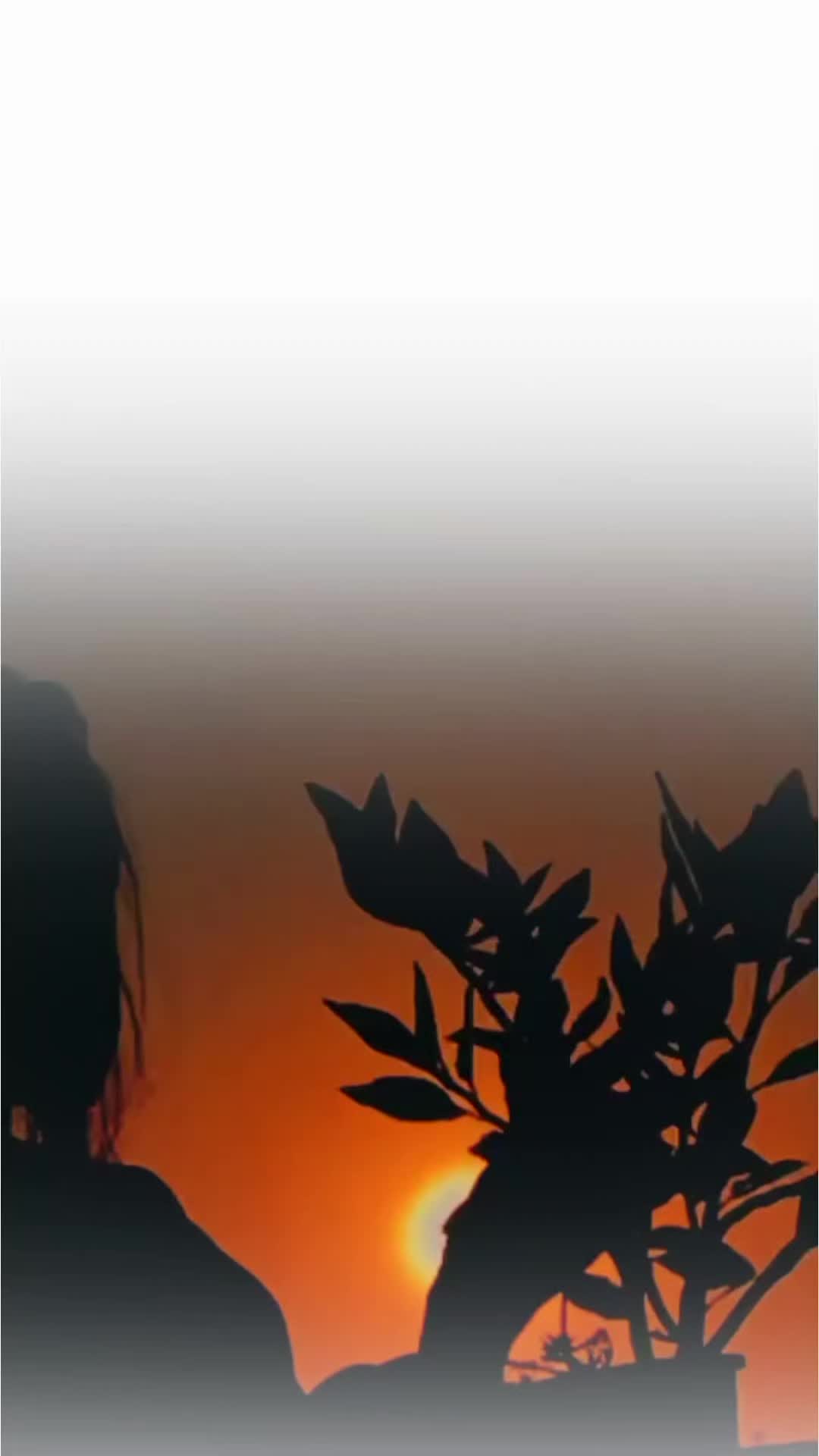 @تنہائی پسند🥂
