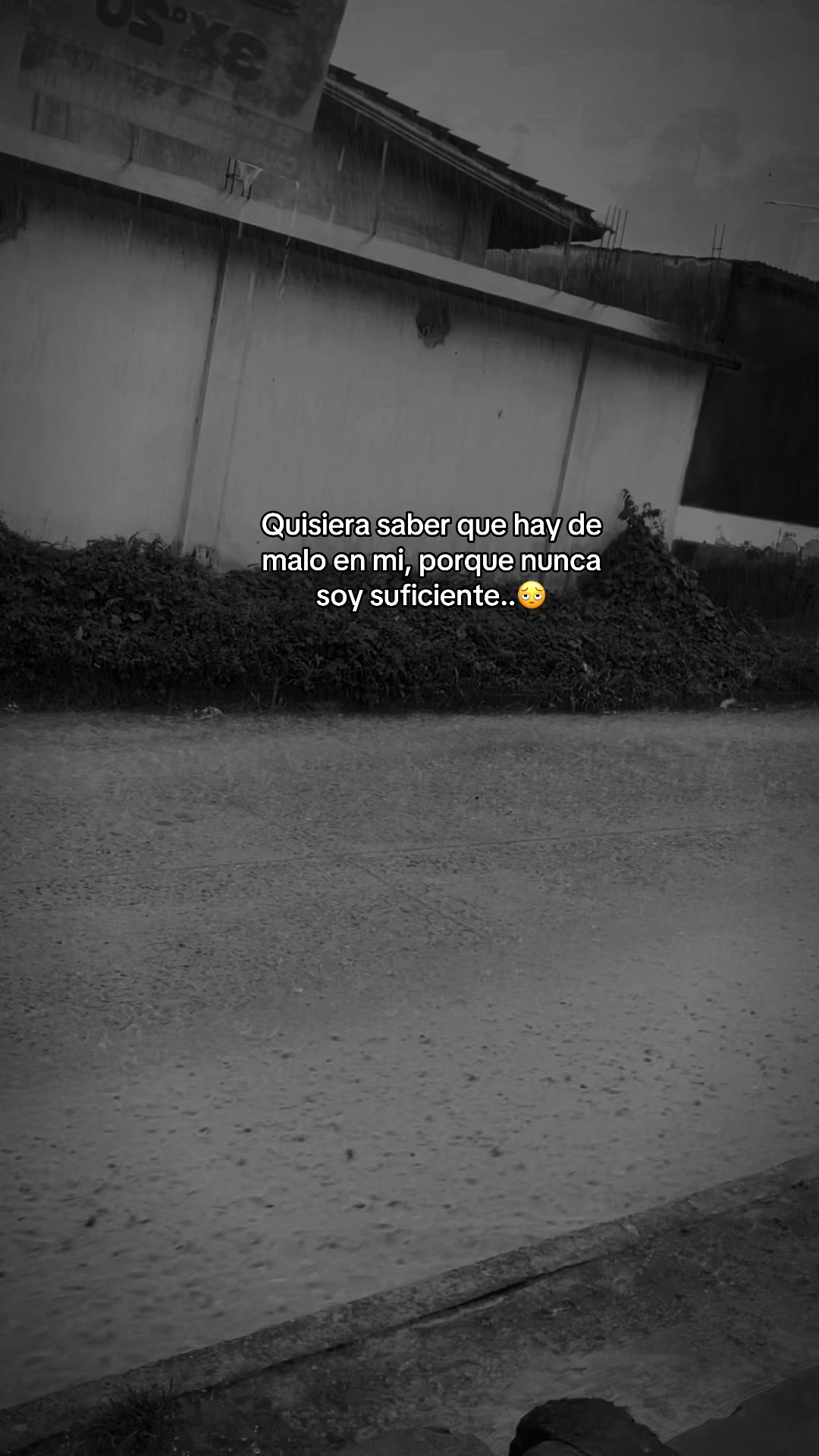 @🥀vane🪫