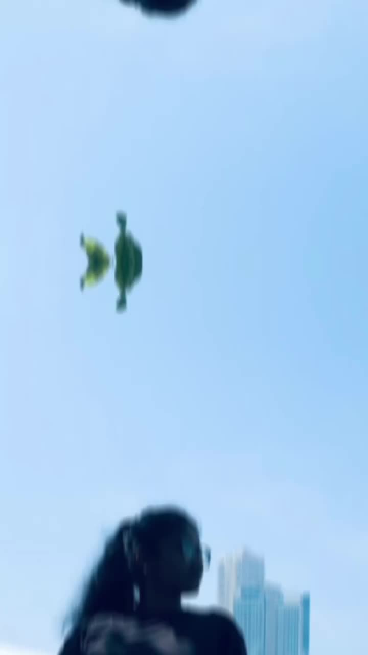 @🦋 𝗡𝗜𝗧𝗛𝗬𝗔 🦋