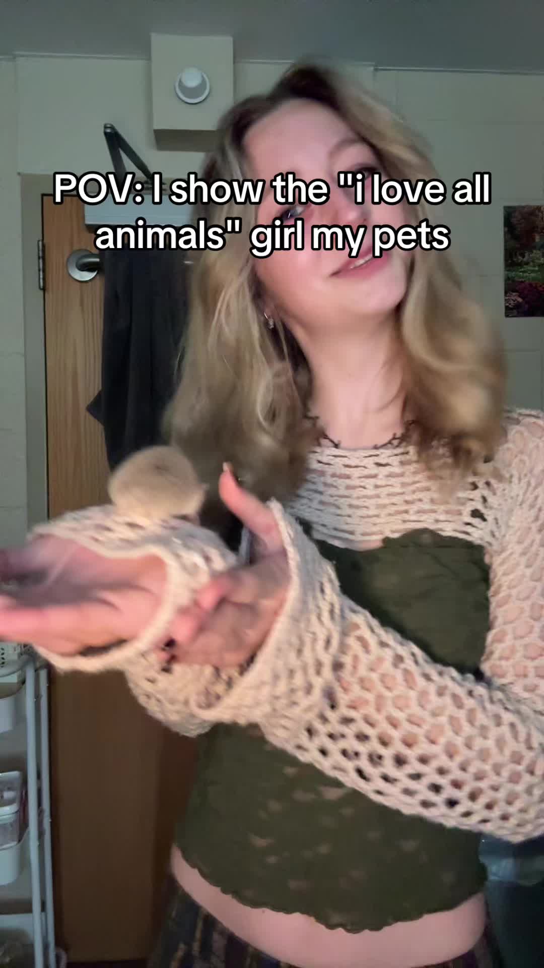 @thatweirdanimalgirl