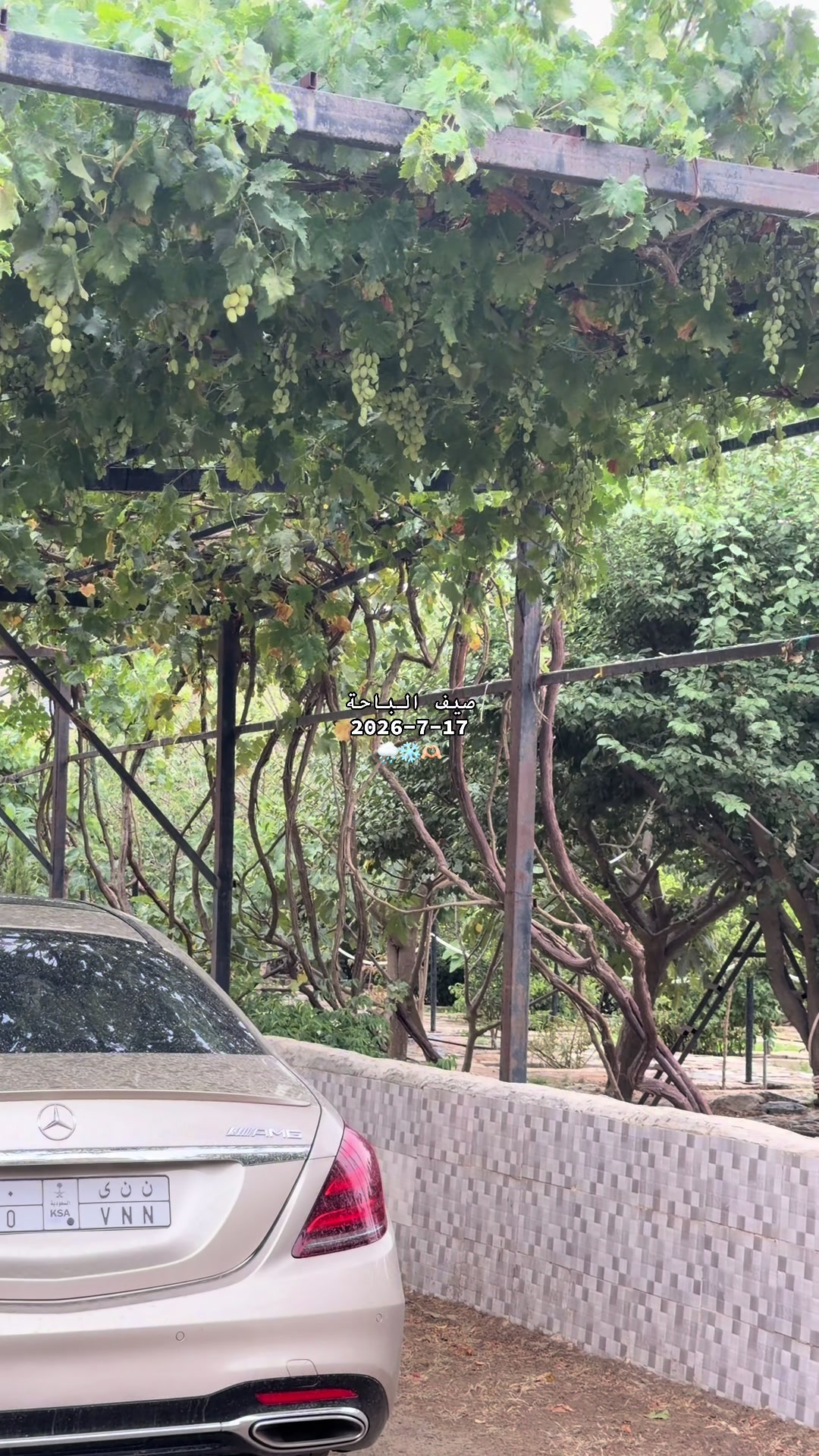 @أشواق بنت محمد 💙🤍