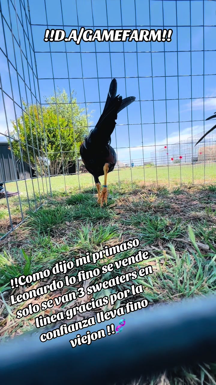 @DAgamefarm