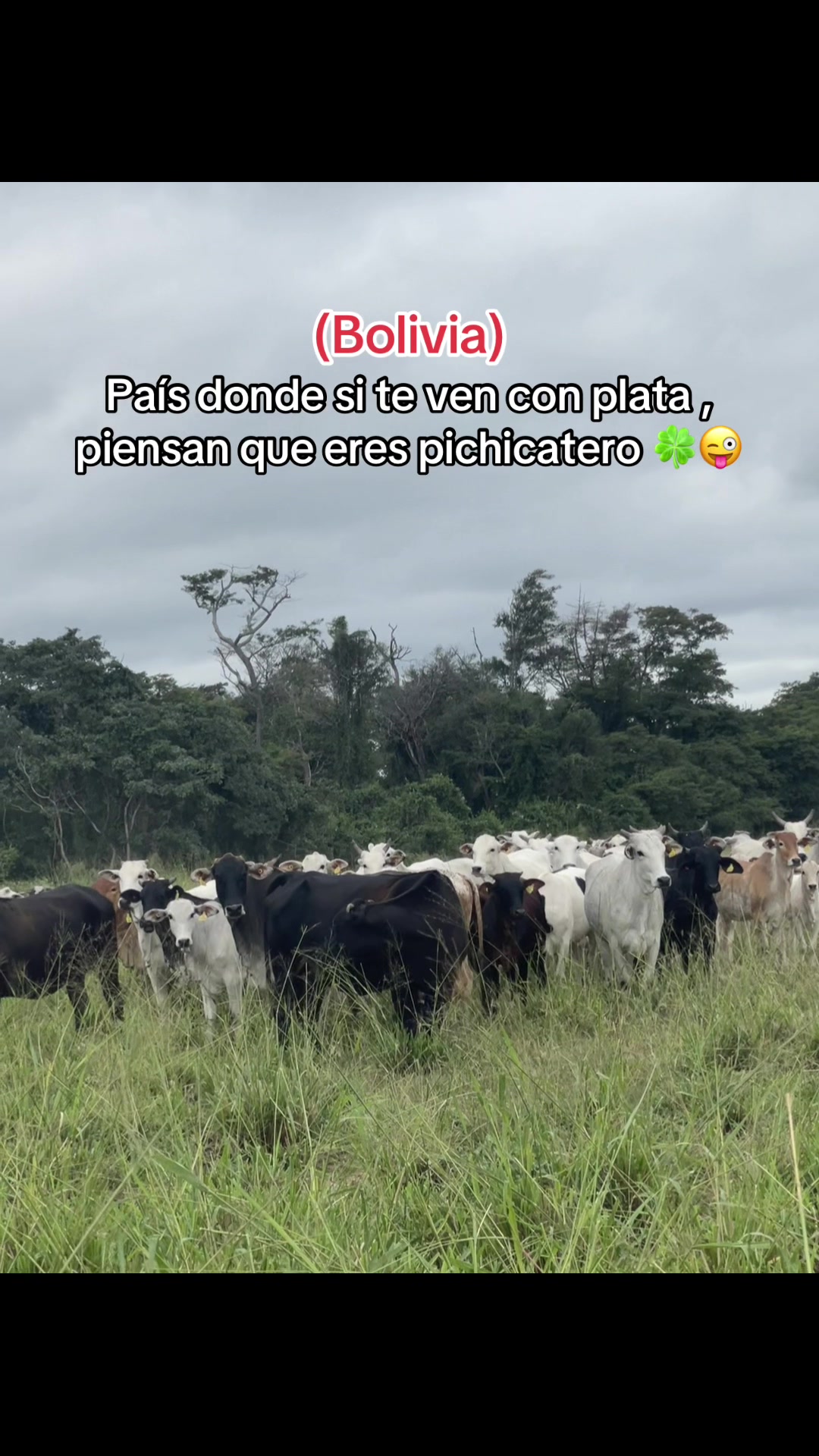 @Mayte Llanos