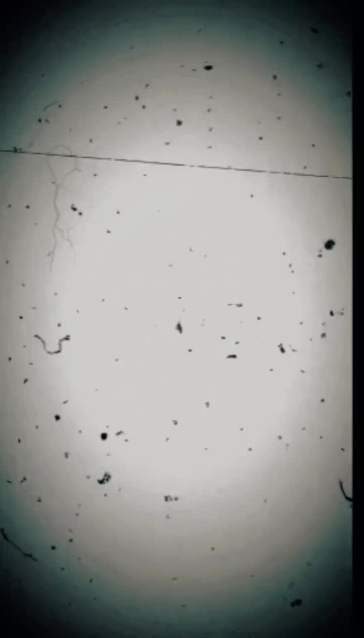 @ChePuanJannah