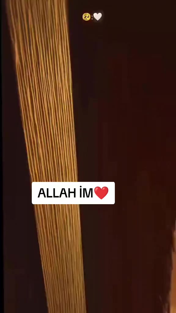@🕊️
