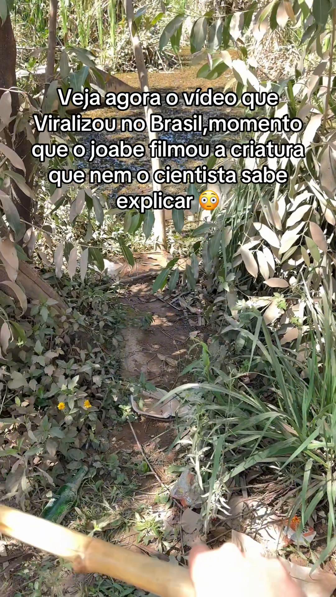 @Joab