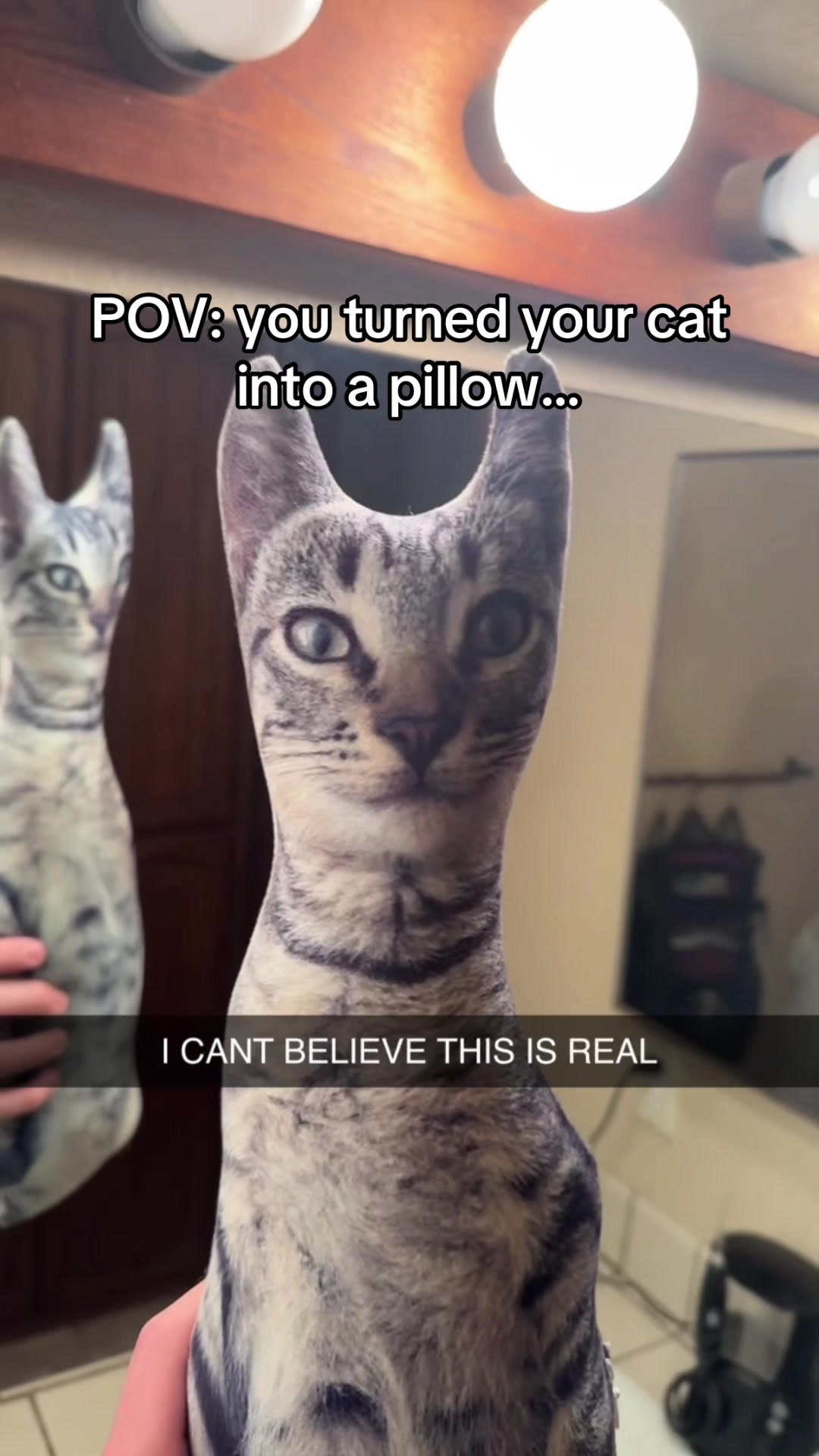 @cat memes