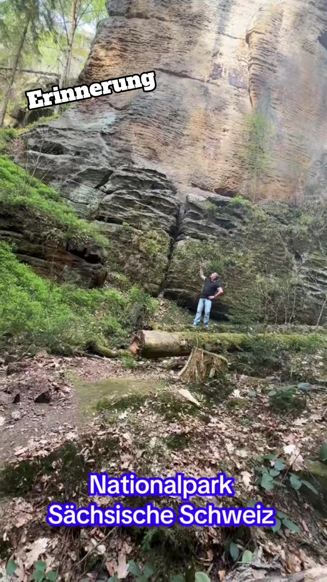 @Brausebärli