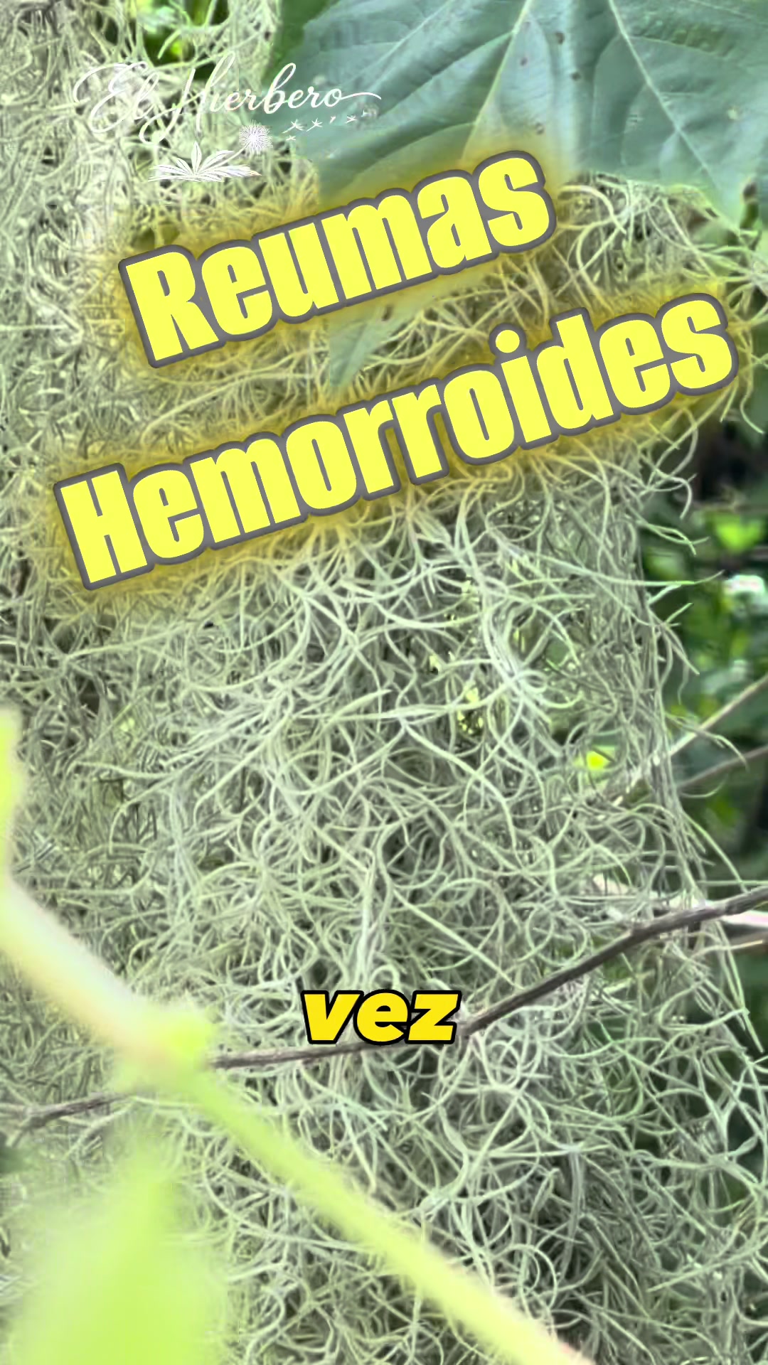 @ElHierbero
