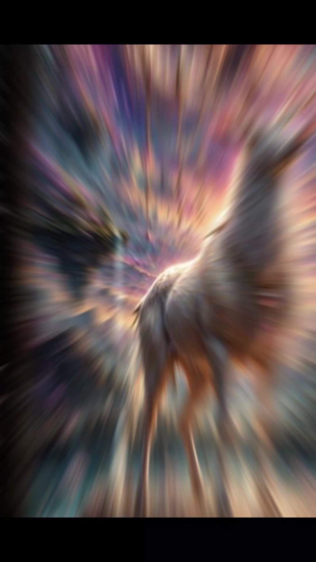 @𝕶☧×x̌X̌✖️🕉9999🕉✖️X̌x̌×☧𝕶