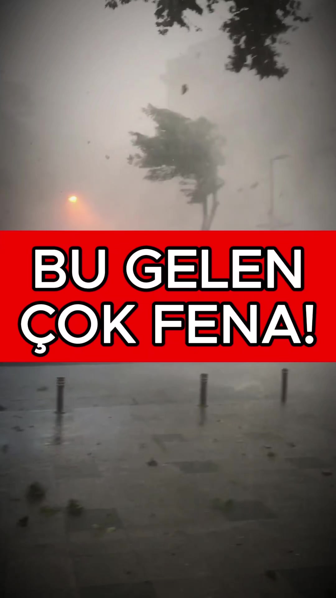 @Havadar