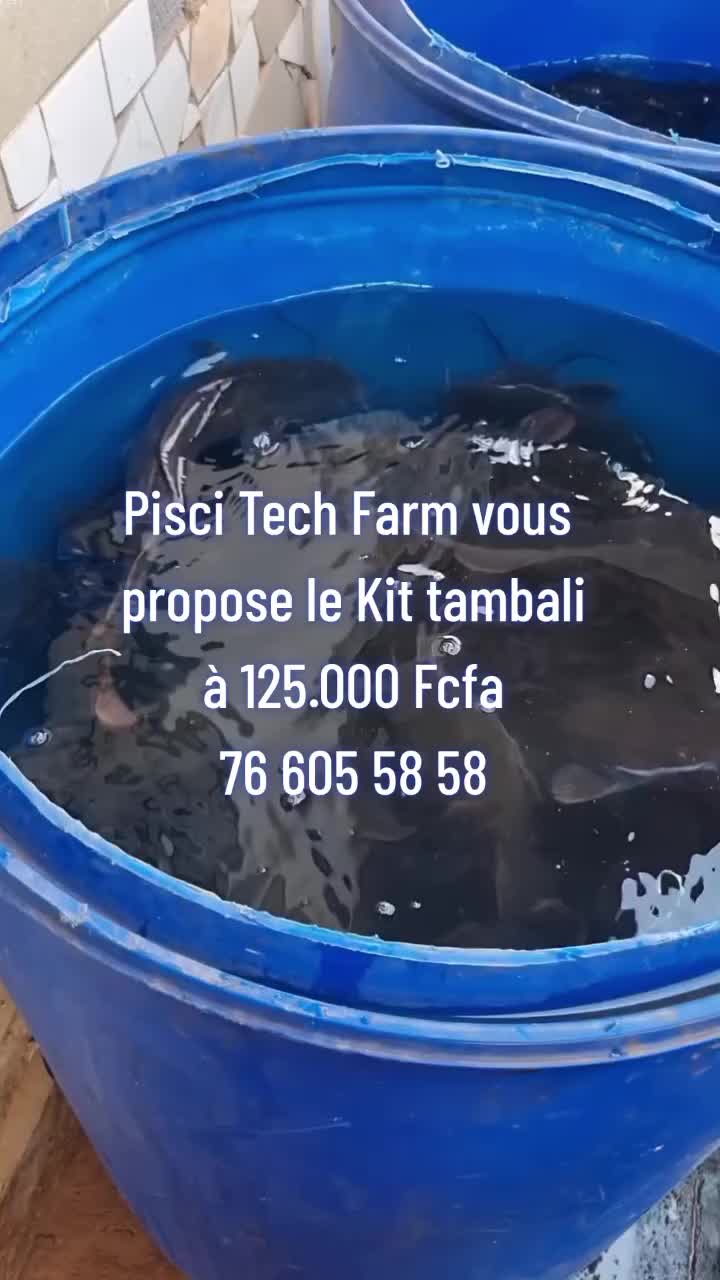 @PISCI TECH FARM