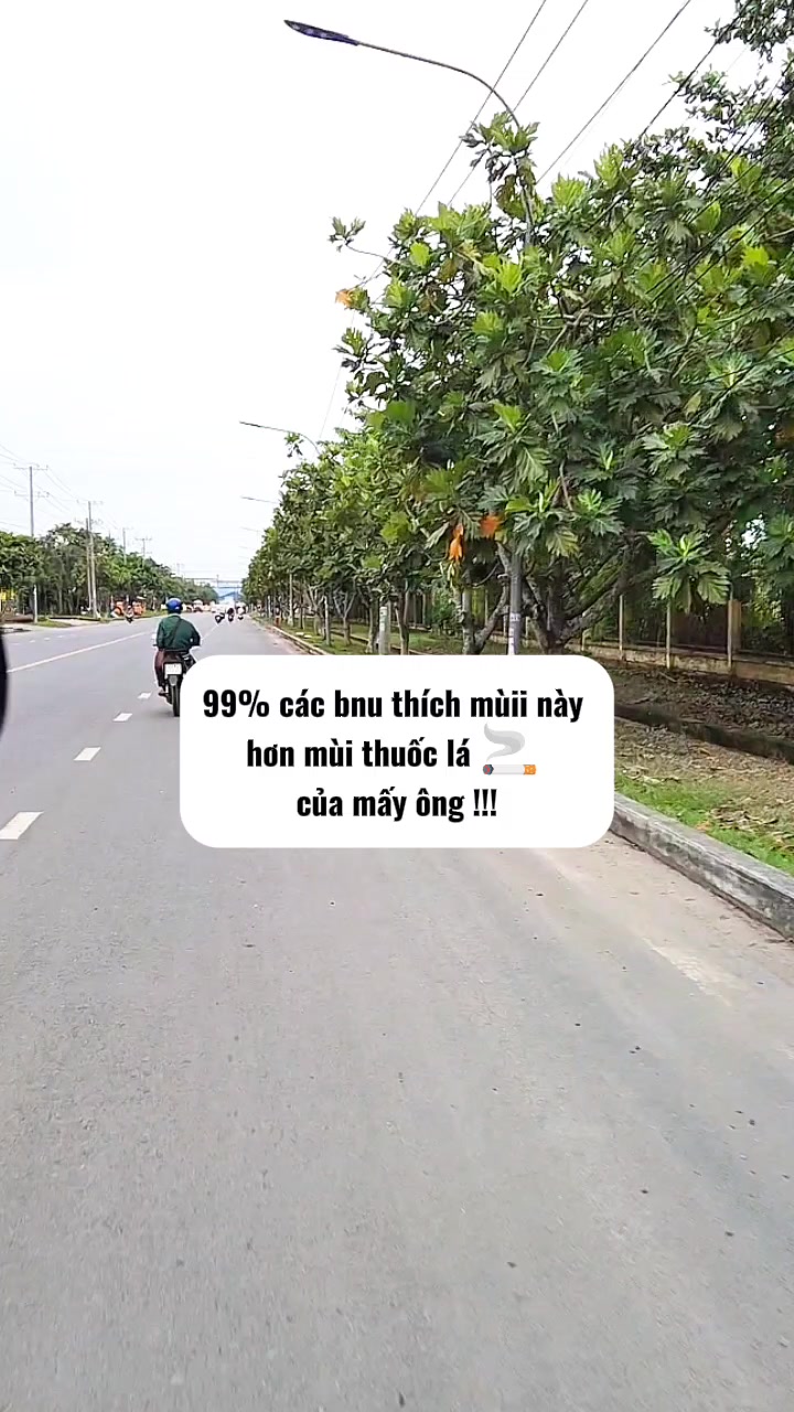 @Góc nhỏ gia dụng 115