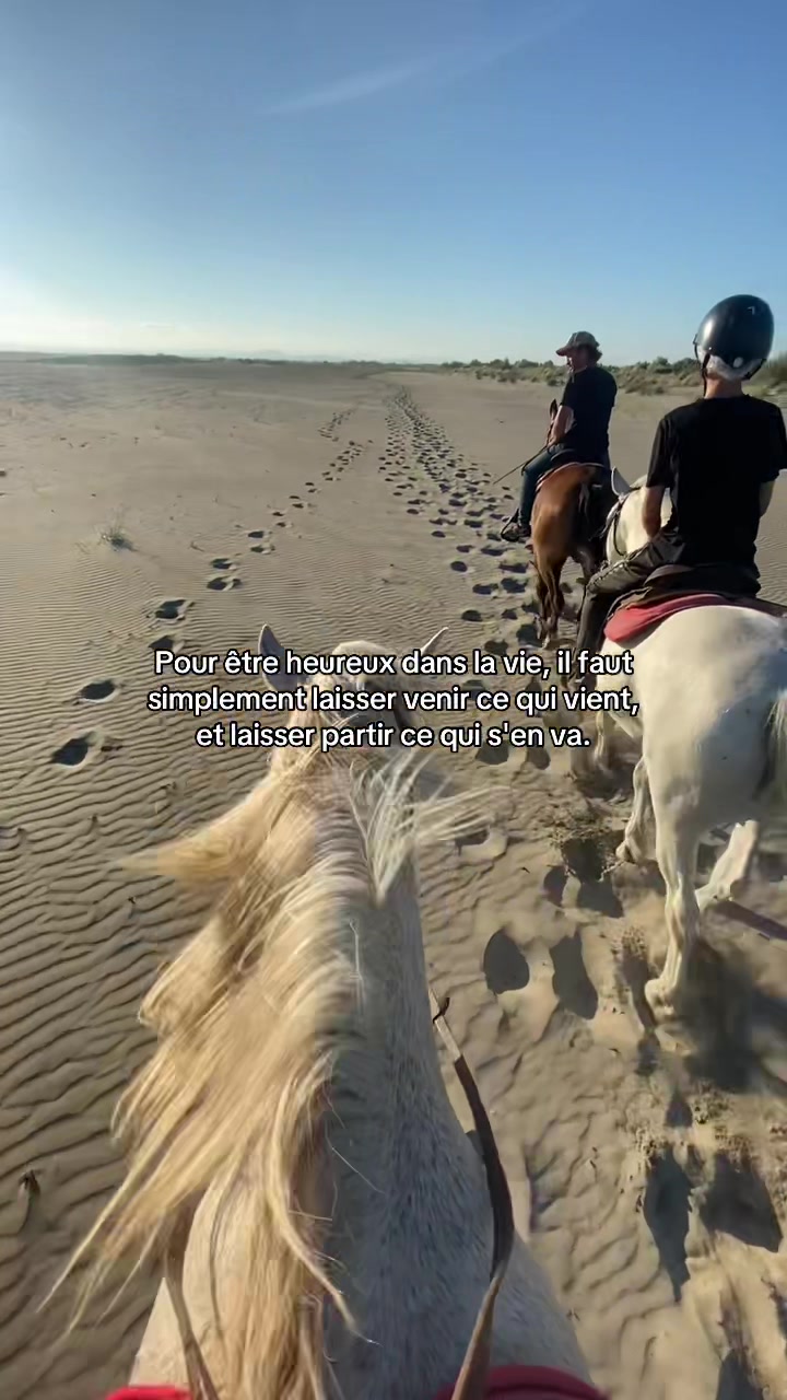 @shoot_equestres
