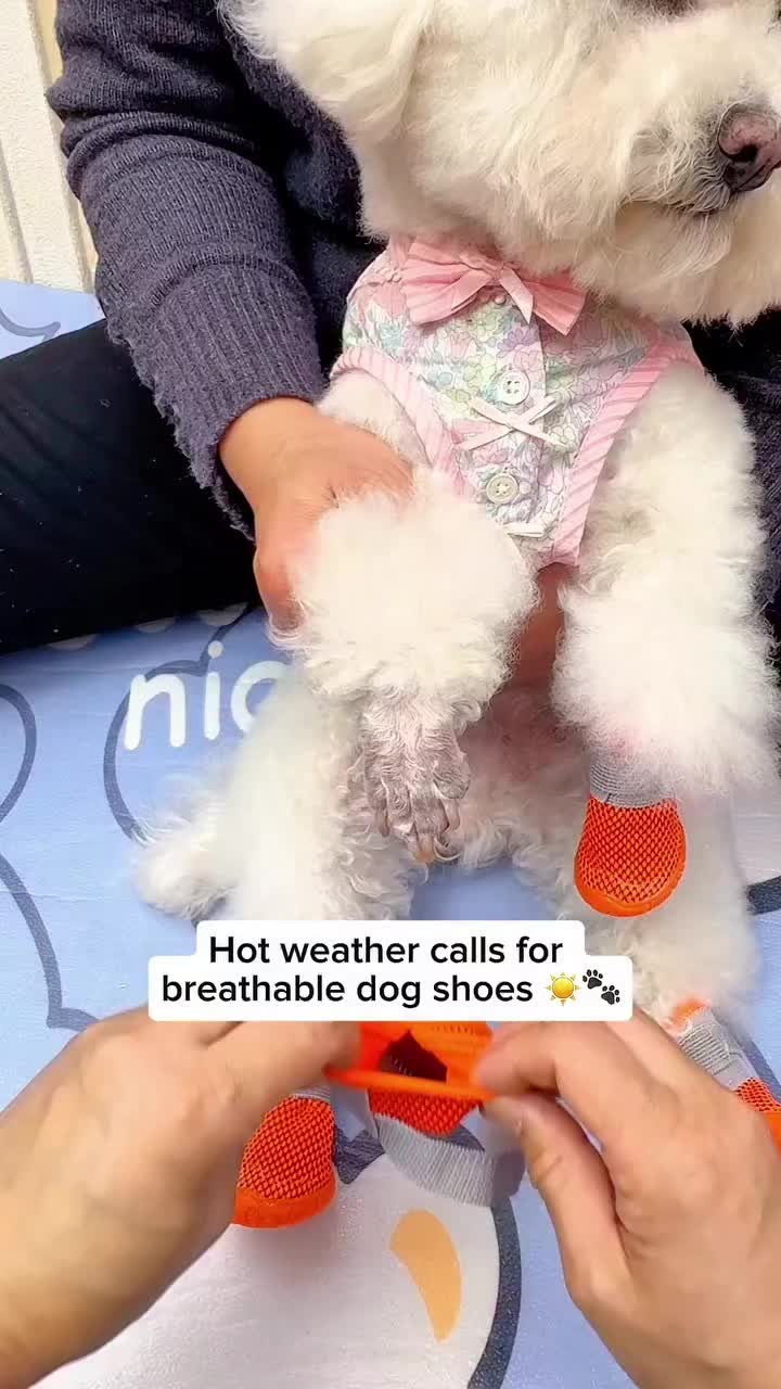 @Pet products