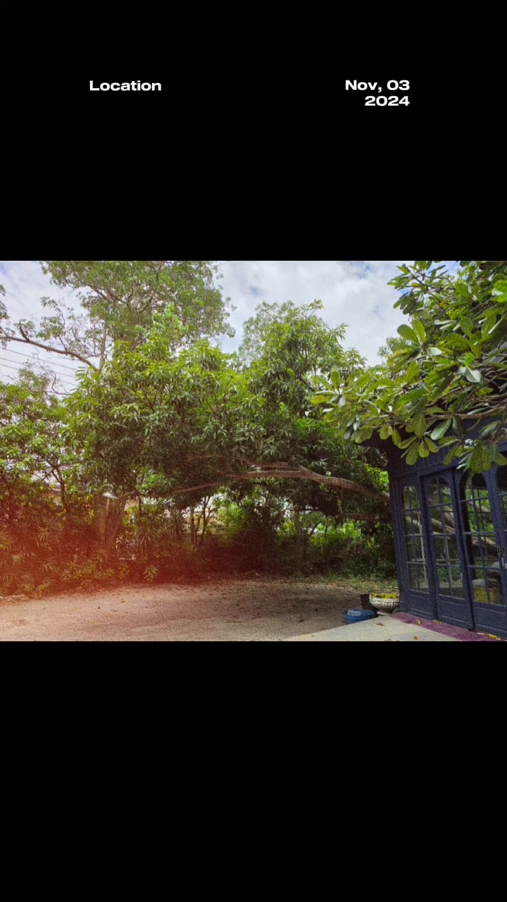 @แมเจยบ นองแรลล