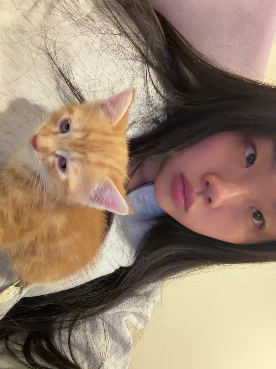 @notarlenelee