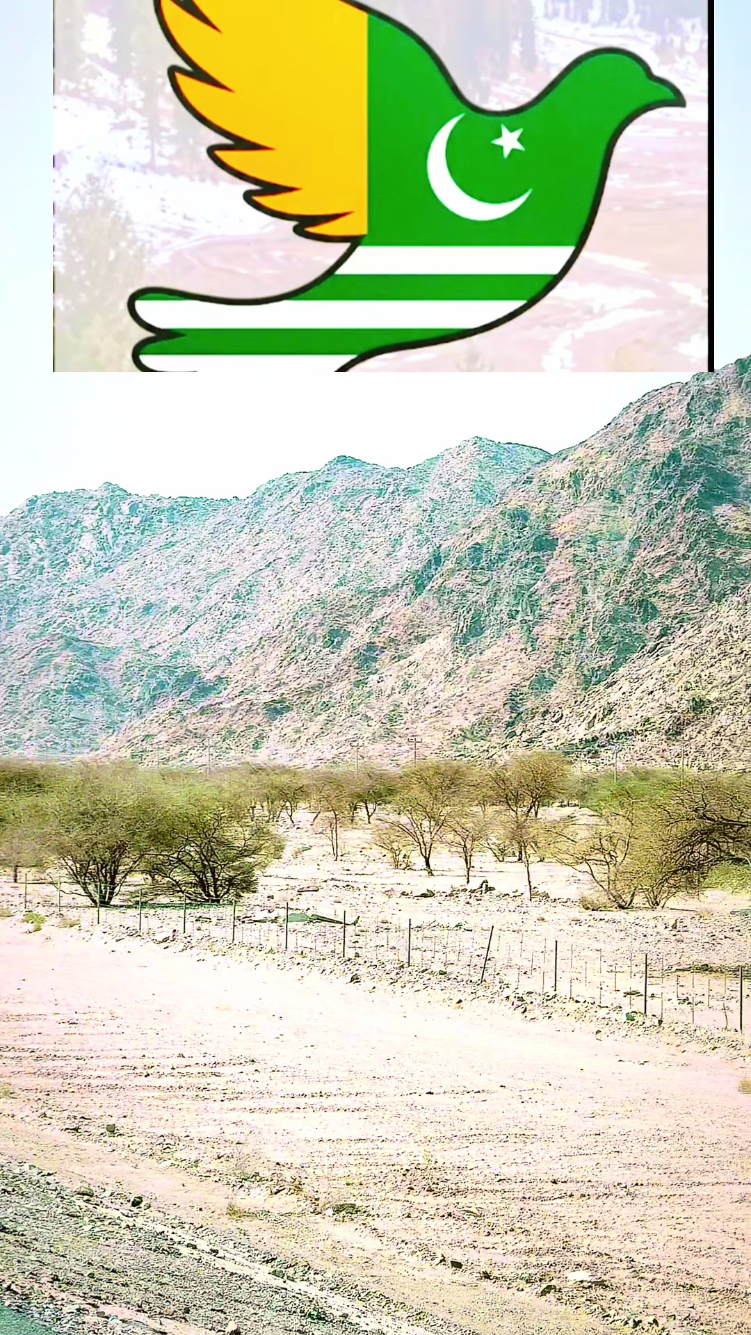 @Imran latif AJK🇦🇪