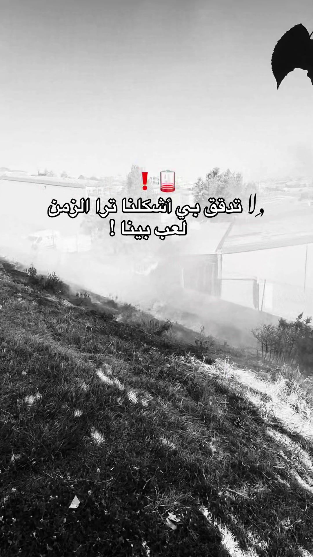 @﮼حسون