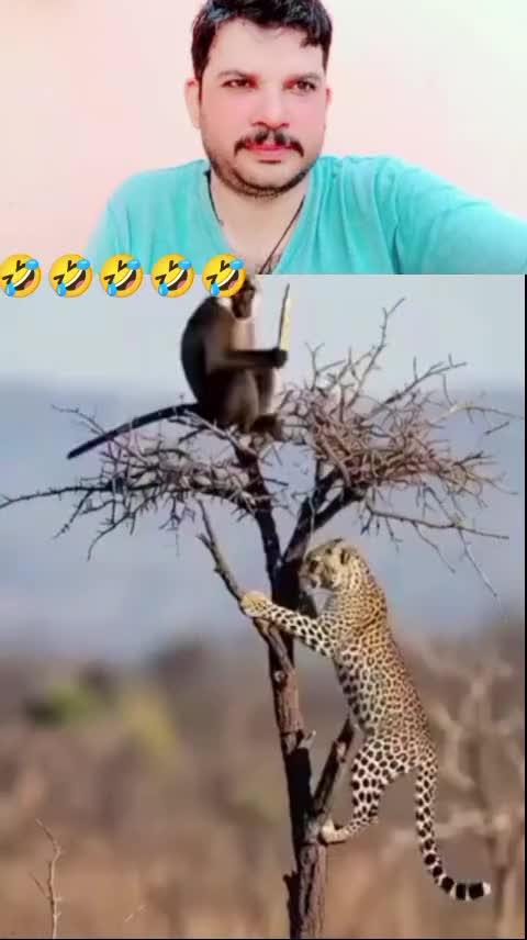 @👑Rajputking👑