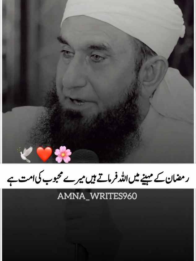 @Amna_writes