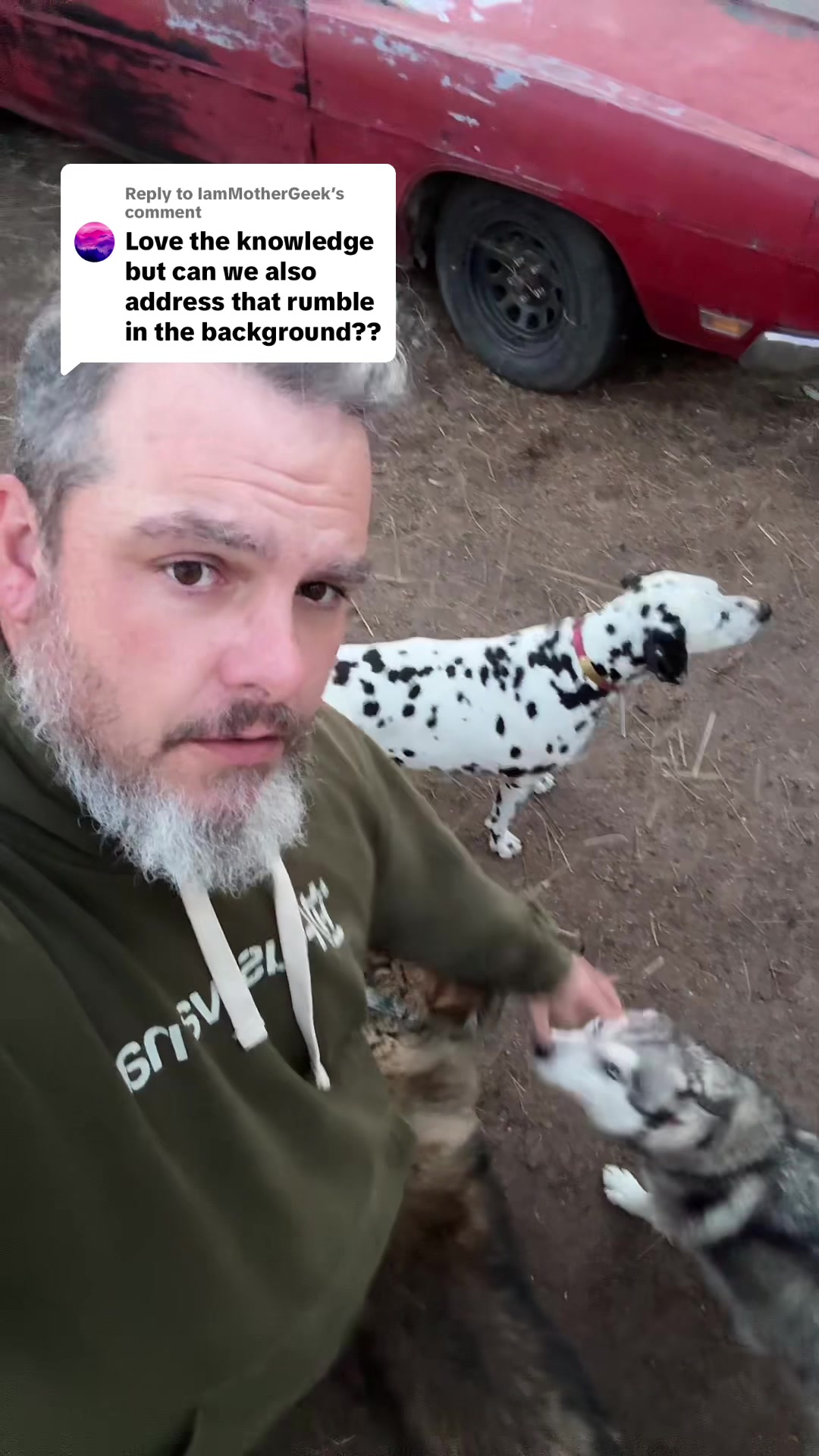 @Archaeowolf