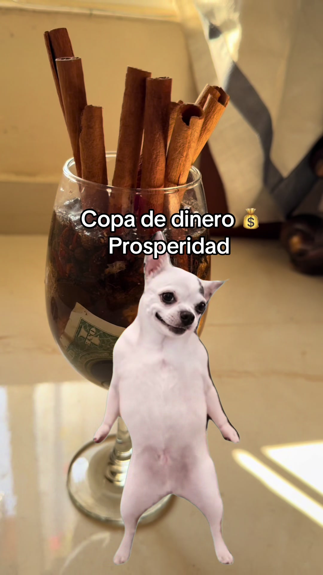 @🪶Todologa.tarot🪶🧚🏿♀️🍀