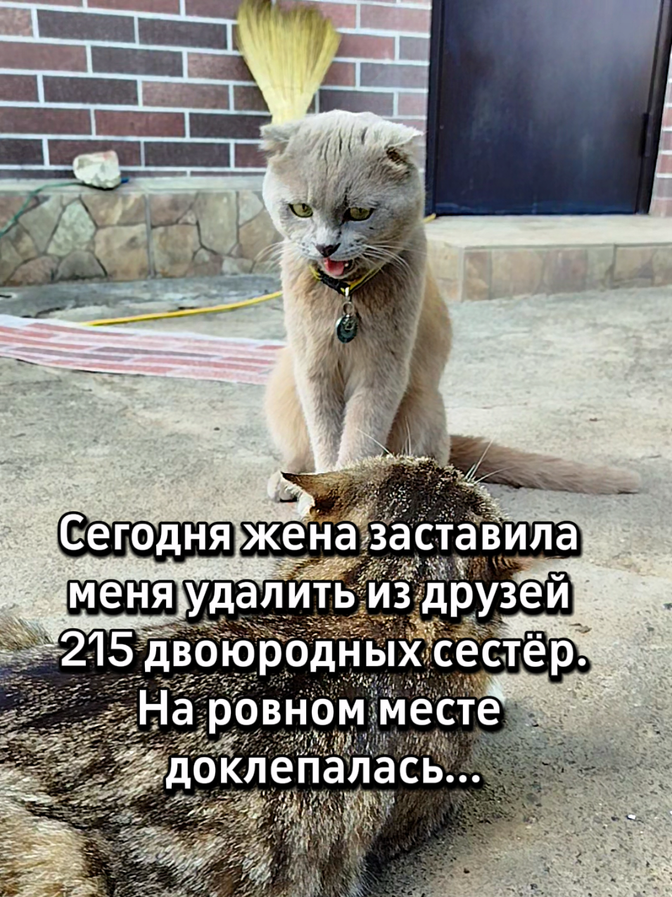 @🐈Масик&Андрей🥰