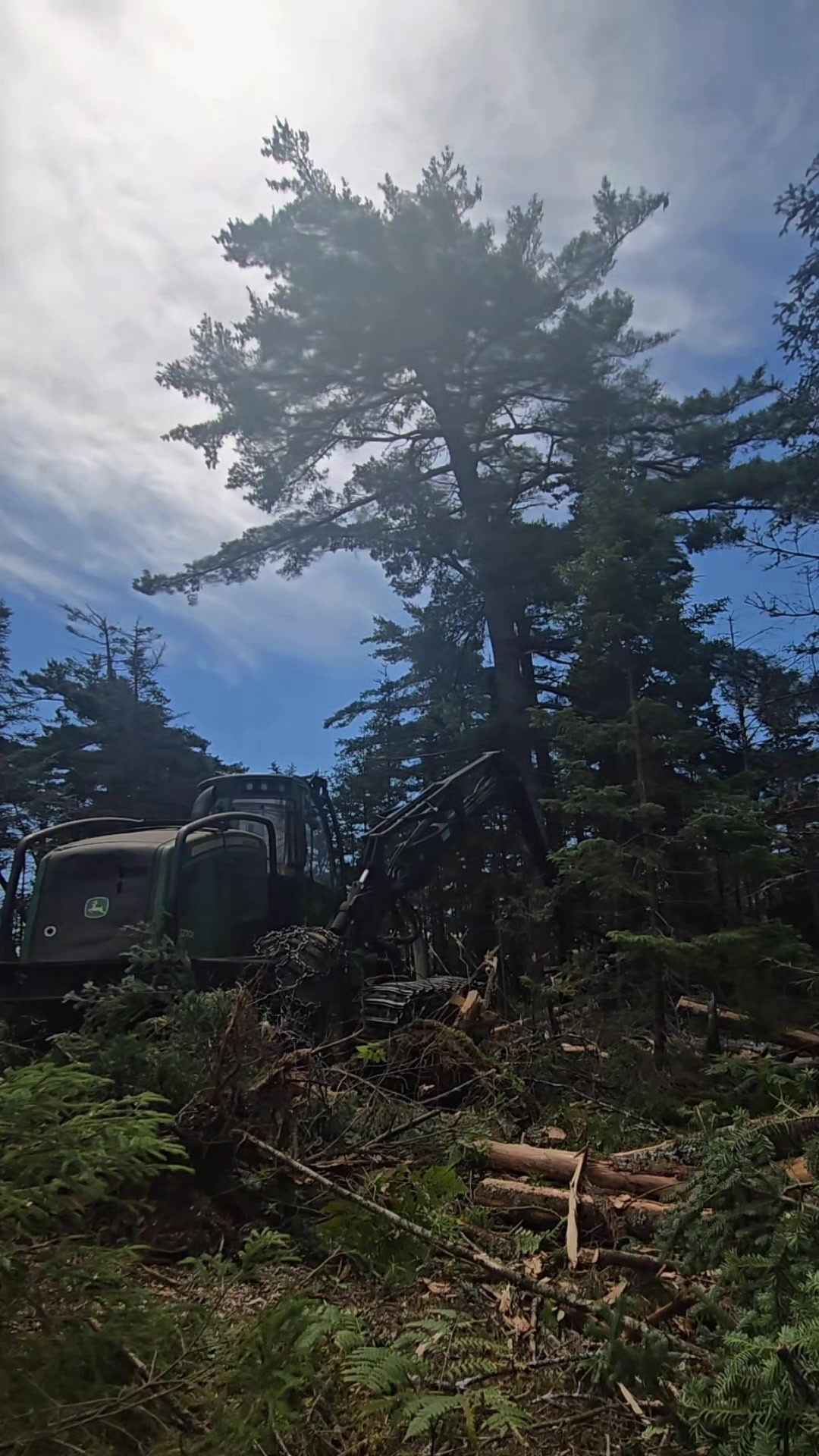 @Nova Scotia Logger