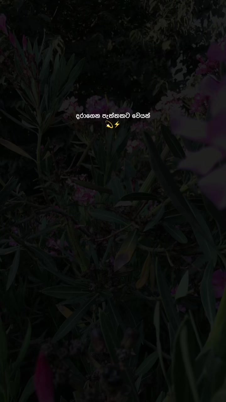 @𝓔𝓼𝓱𝓾𝓾 🎀!"