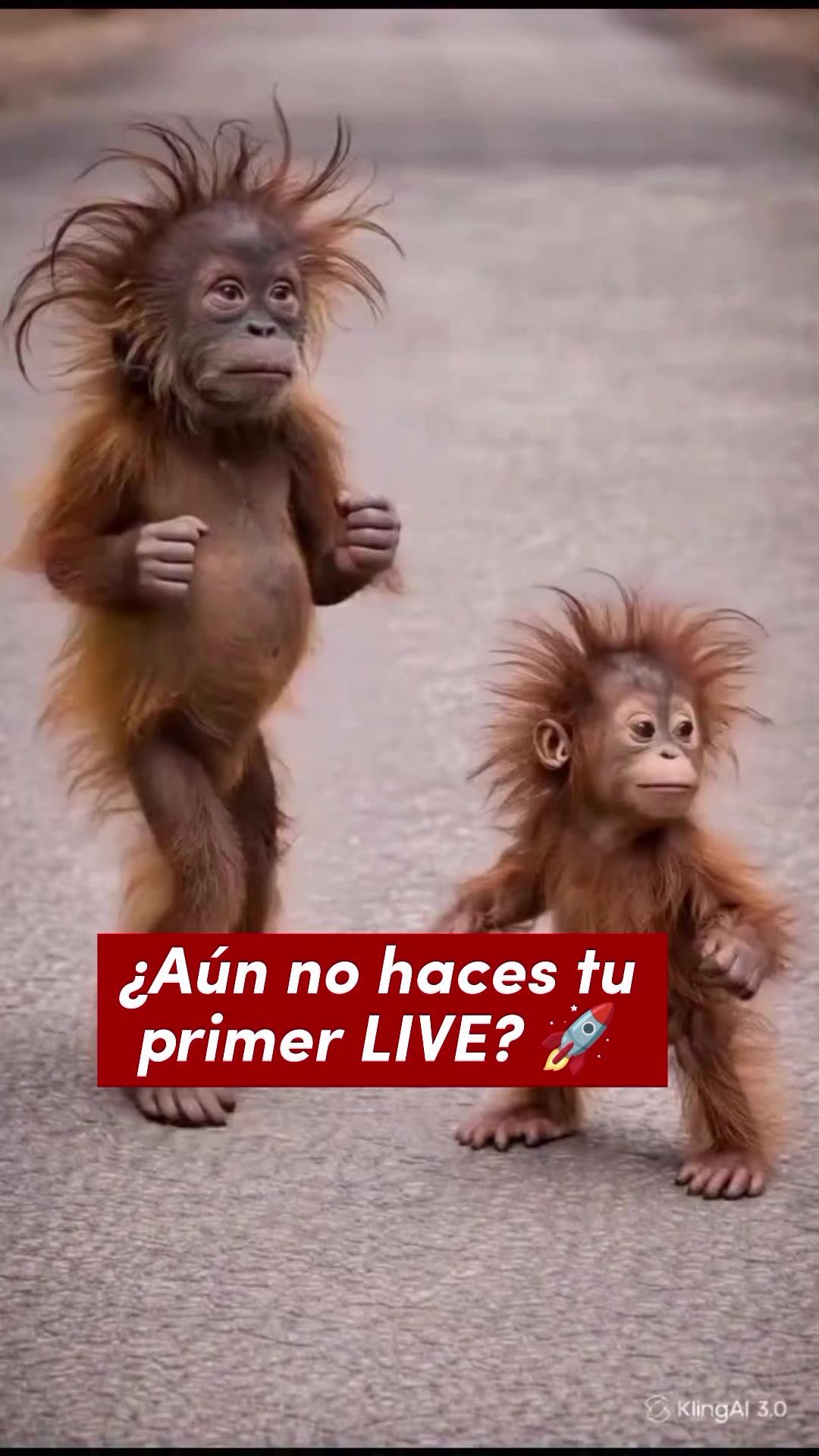 @🌍Noticias al MOMENTO 🌍
