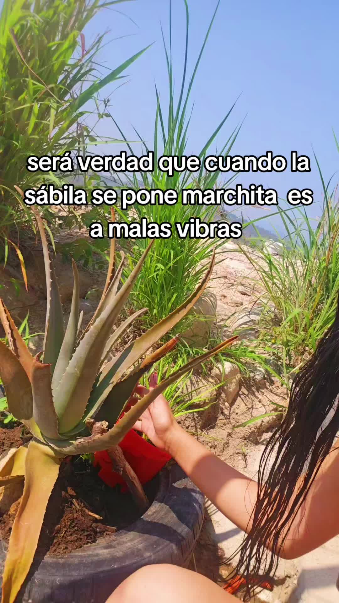 @Alexa Romero