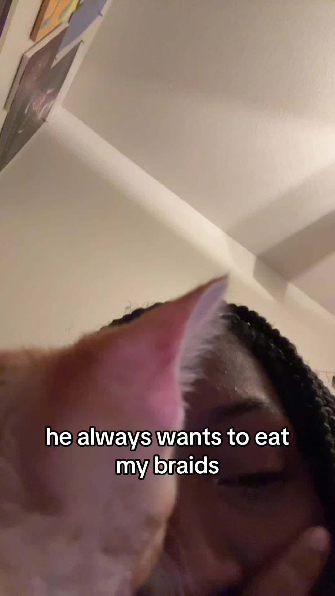@chelc